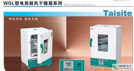 出口型鼓風(fēng)干燥箱、WGL-30B烘箱、精密恒溫干燥箱_鼓風(fēng)干燥箱 _世界工廠網(wǎng)